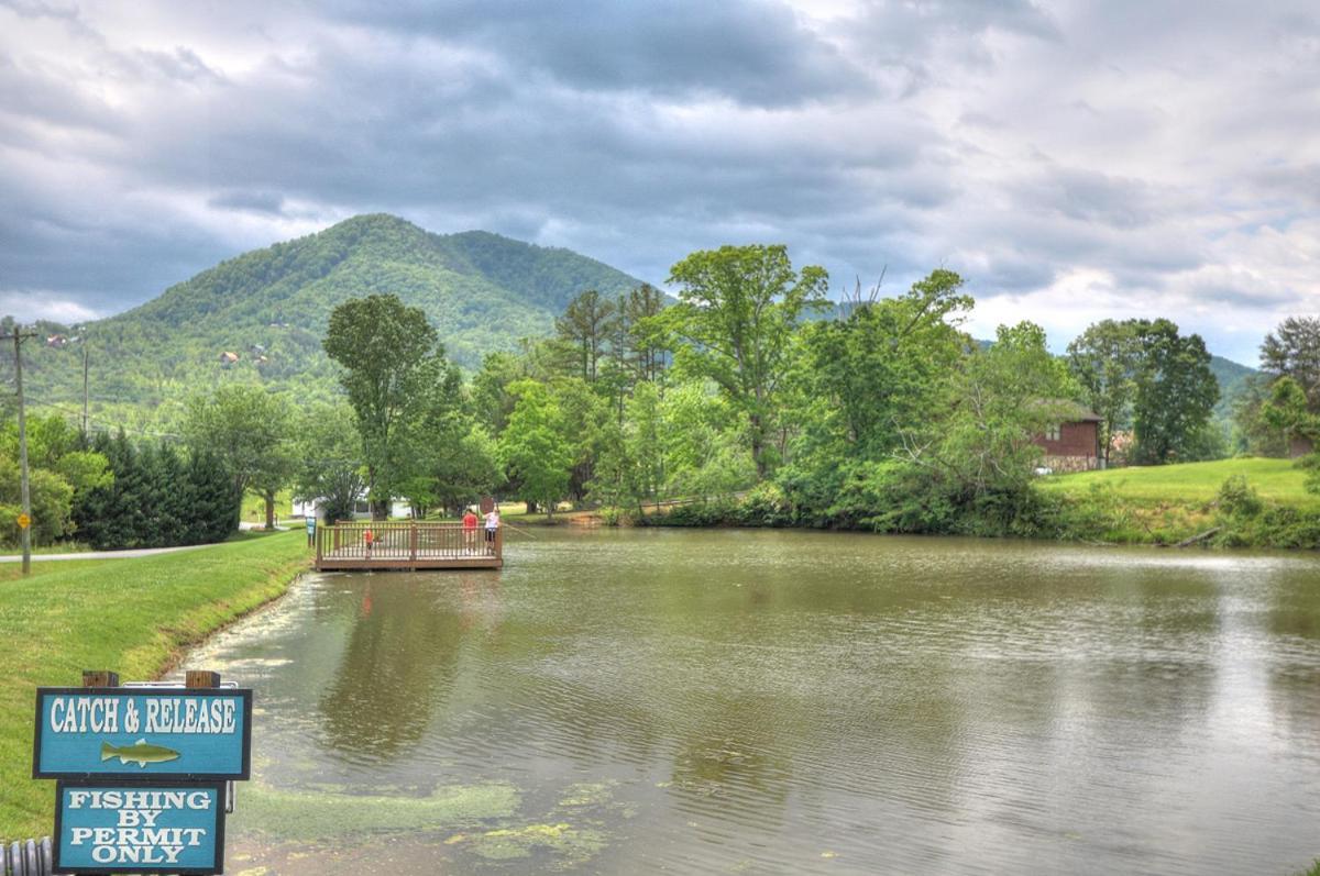 Bears Valley Inn - Great Location! - Peaceful, Children And Dog Friendly Retreat - Less Than 15 Min To All Attractions - Private Pool Club & Fishing Hole - Game Room With Tv Sevierville Εξωτερικό φωτογραφία